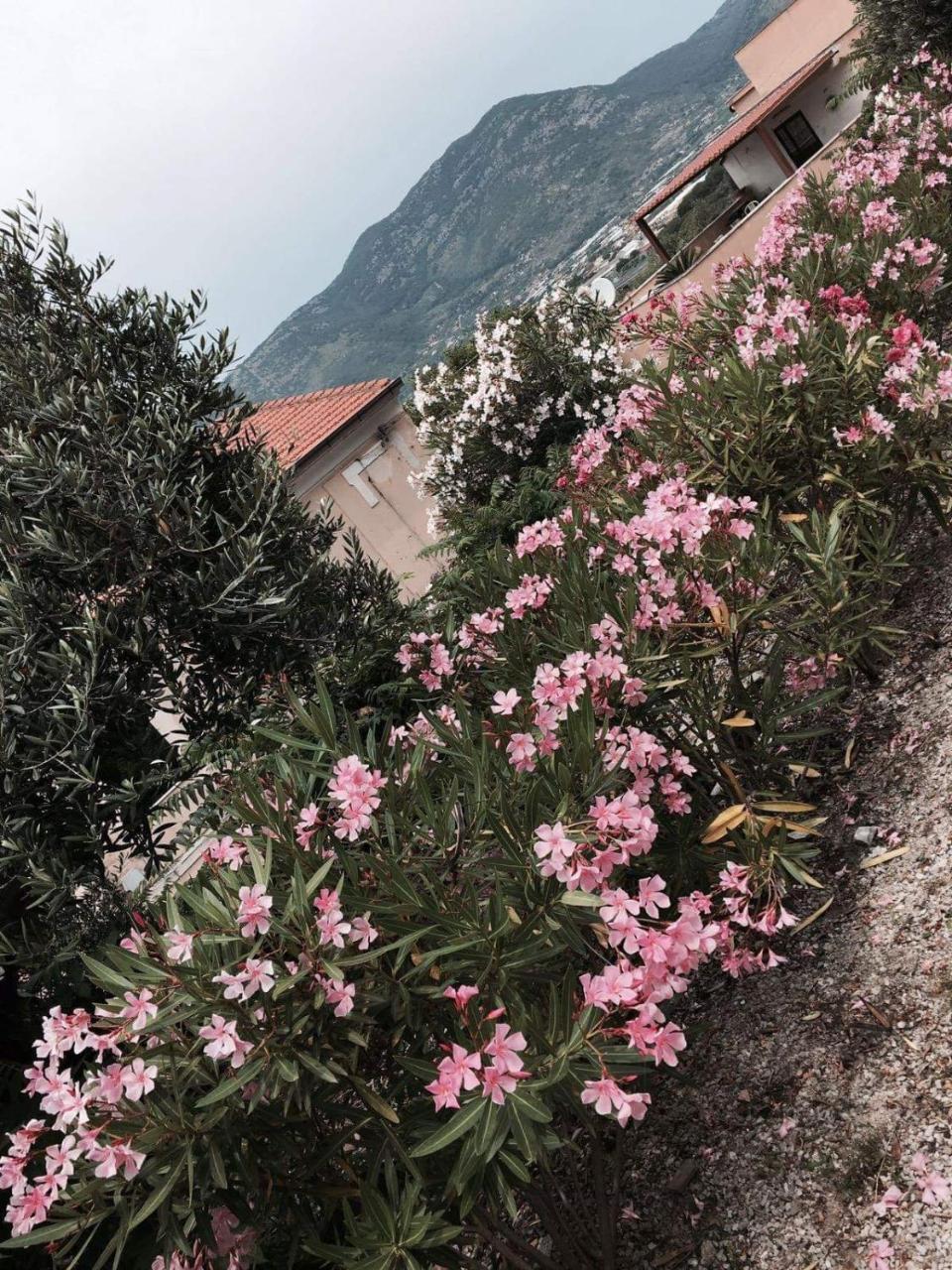 Hotel Hegelberger Terracina Exterior foto