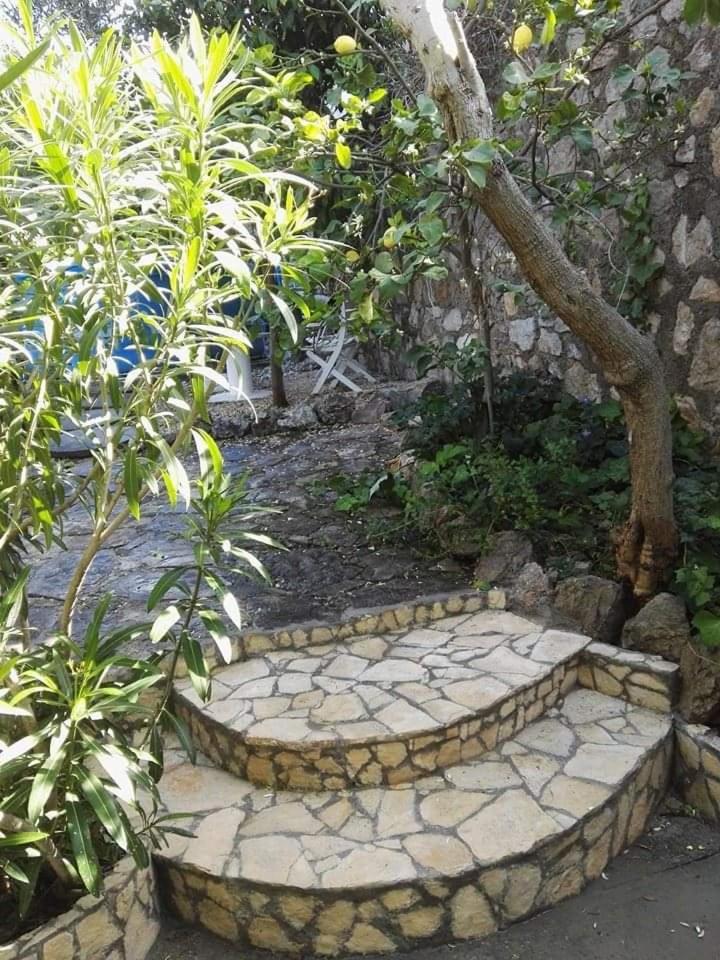 Hotel Hegelberger Terracina Exterior foto